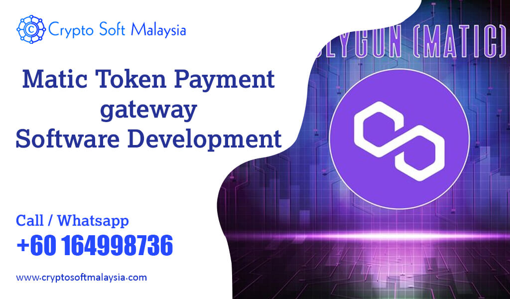 Matic token payment gateway software